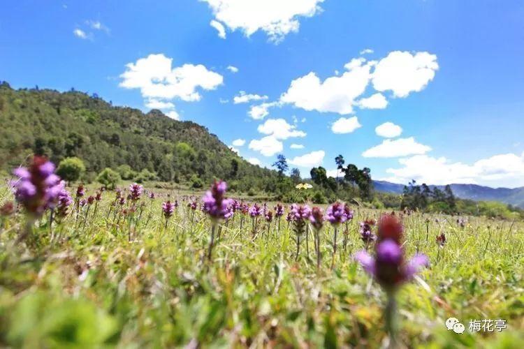 【鉴知广州】勤于耕耘，留史后世——记花都区地方志办公室原副主任宋淦清